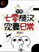 军婚：七零糙汉宠妻日常章节 军婚：七零糙汉宠妻日常小说目录阅读