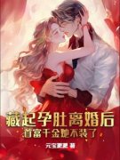 《藏起孕肚离婚后，首富千金她不装了》小说章节精彩试读 闻拾柒闻慕迟小说