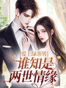精品《爱上绿茶男，谁知是两世情