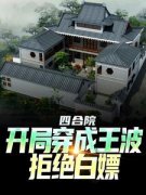 《王波雨水》四合院：从给傻柱十