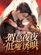 《姜翩然贺池》闪婚后，贺总夜夜低哑诱哄大结局精彩试读