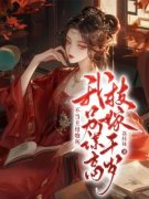 《陆似锦沈景墨》大结局精彩试读