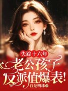 沈念路之舟失踪十六年，老公孩子反派值爆表！免费在线免费试读