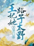 精品热文《王爷三思，王妃她路子