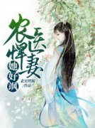 《窦安青闵湛》小说全文免费阅读