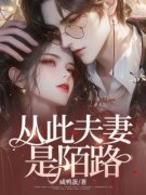 《从此夫妻是陌路》大结局在线阅