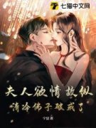 虞晚月司宴清夫人欲情故纵，清冷