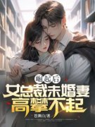 主角是叶凌林浅月的小说 《崛起后