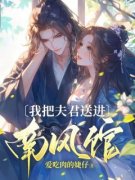 秦婉儿顾笙小说阅读  第2章