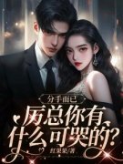 《分手而已，厉总你有什么可哭的