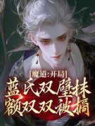 主角是魔道：开局蓝氏双璧抹额双