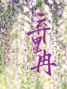 《林星冉周子琅》弃星冉章节列表