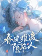 《春风难渡陌路人》小说大结局免