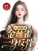 《洛知简薛妄》免费阅读 入夜偏宠