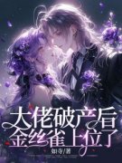 乔烟沈夜凛小说全文免费阅读 大佬