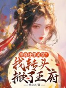 云锦书迟非晚小说精彩章节免费试读（主角冲喜还摆灵堂？我转头掀了王府）