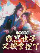 《叶知薇宋衍舟》小说完结版免费