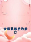 《辛向晚裴司弈》小说大结局在线