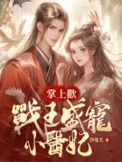 掌上欢：战王盛宠小医妃全文免费