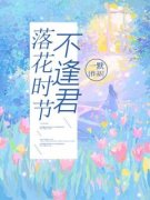 落花时节不逢君全文免费阅读 沈觅