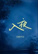 《入夜》小说全文免费阅读 《入夜