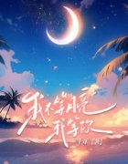 主角是陆晚书宋严坤的小说 《我不