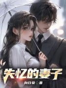 精彩章节《失忆的妻子》顾琛沈凝