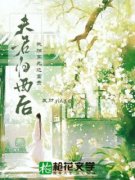 宋时仪沈鹤山精彩章节 夫君归西后