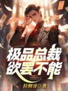 苏岩乔雨馨极品总裁欲罢不能小说
