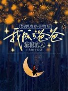 晏清沈琦陈芝芝主角妈妈攻略失败