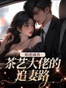 《以爱为囚：钓鱼游戏》小说完结