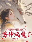 《棱川风晴风瑶》大结局精彩试读