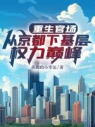《叶正刚许晓情》重生官场：从京