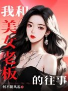 《我和美女老板的往事》小说在线