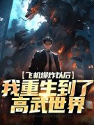 《飞机爆炸以后，我重生到了高武