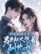 宋礼然程轻黎小说 妈妈脑梗去世，
