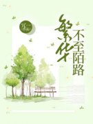 《繁华不至陌路》小说全文在线试