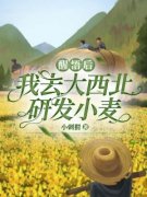 《醒悟后，我去大西北研发小麦》