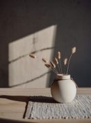 《楚曦陈长宇楚辞》完结版精彩试