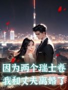 《陈亮陈烁微》小说完结版在线阅