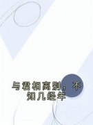 与君相离别，不知几经年顾时琛向诗余小说免费试读全文章节目录精彩章节