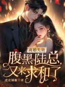《姜止陆宴》完整版在线阅读（主