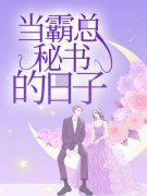 《温卿白岚沈时谦》当霸总秘书的