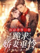 《厉总苦等三年，跪求娇妻垂怜！