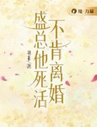 《盛总他死活不肯离婚》沈南意盛