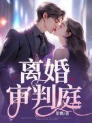 离婚审判庭浆糊 离婚审判庭在线阅