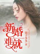 《新婚难就》小说大结局精彩试读