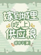 《嫁到城里，吃上供应粮》大结局