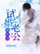 《天价小萌妻：试婚老公超给力》