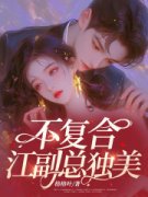 《不复合，江副总独美》完结版在